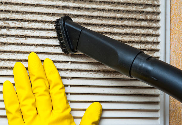 Best Air Duct Sanitizing Services  in Salem, WV